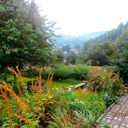Apartman Aya Janov nad Nisou Buitenkant foto