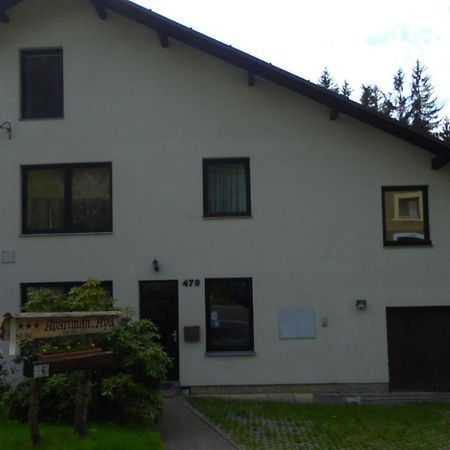 Apartman Aya Janov nad Nisou Buitenkant foto