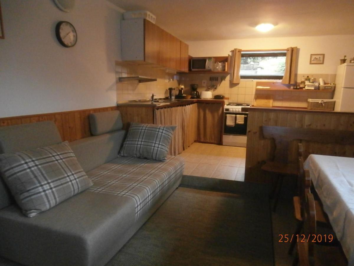 Apartman Aya Janov nad Nisou Buitenkant foto