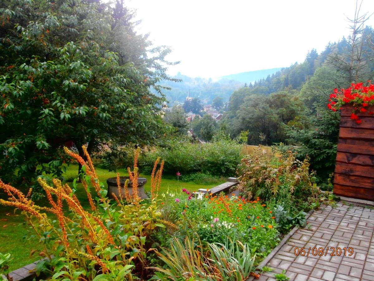 Apartman Aya Janov nad Nisou Buitenkant foto