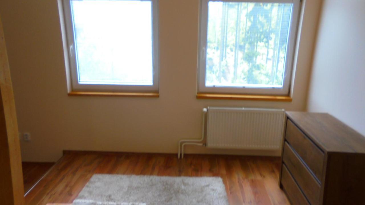 Apartman Aya Janov nad Nisou Buitenkant foto