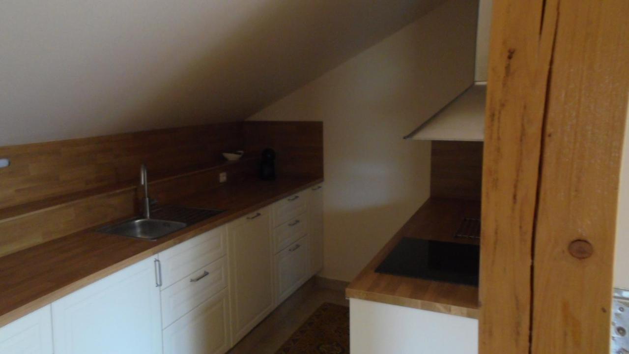 Apartman Aya Janov nad Nisou Buitenkant foto
