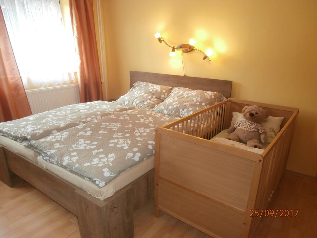 Apartman Aya Janov nad Nisou Buitenkant foto