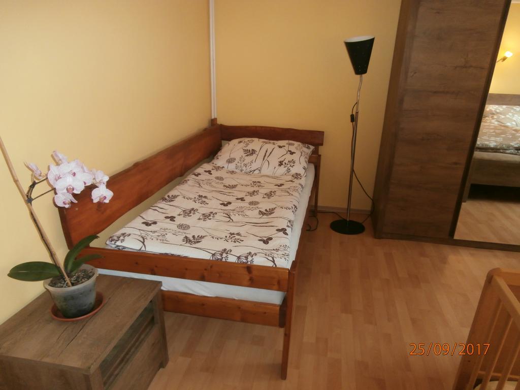 Apartman Aya Janov nad Nisou Buitenkant foto