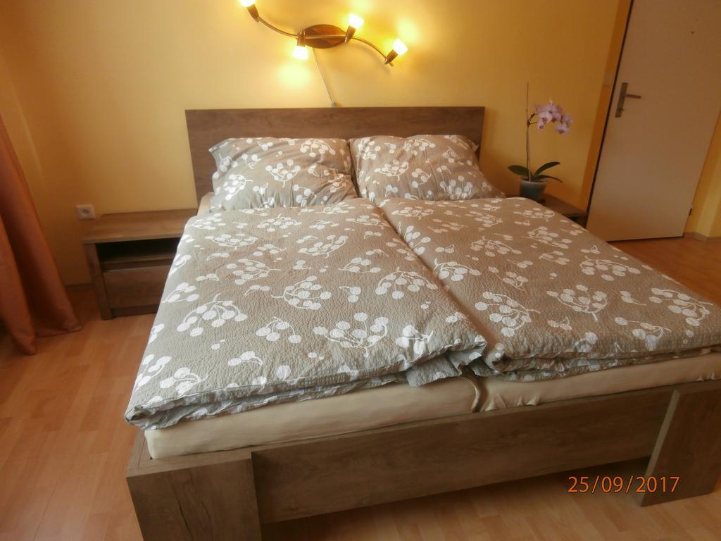 Apartman Aya Janov nad Nisou Buitenkant foto