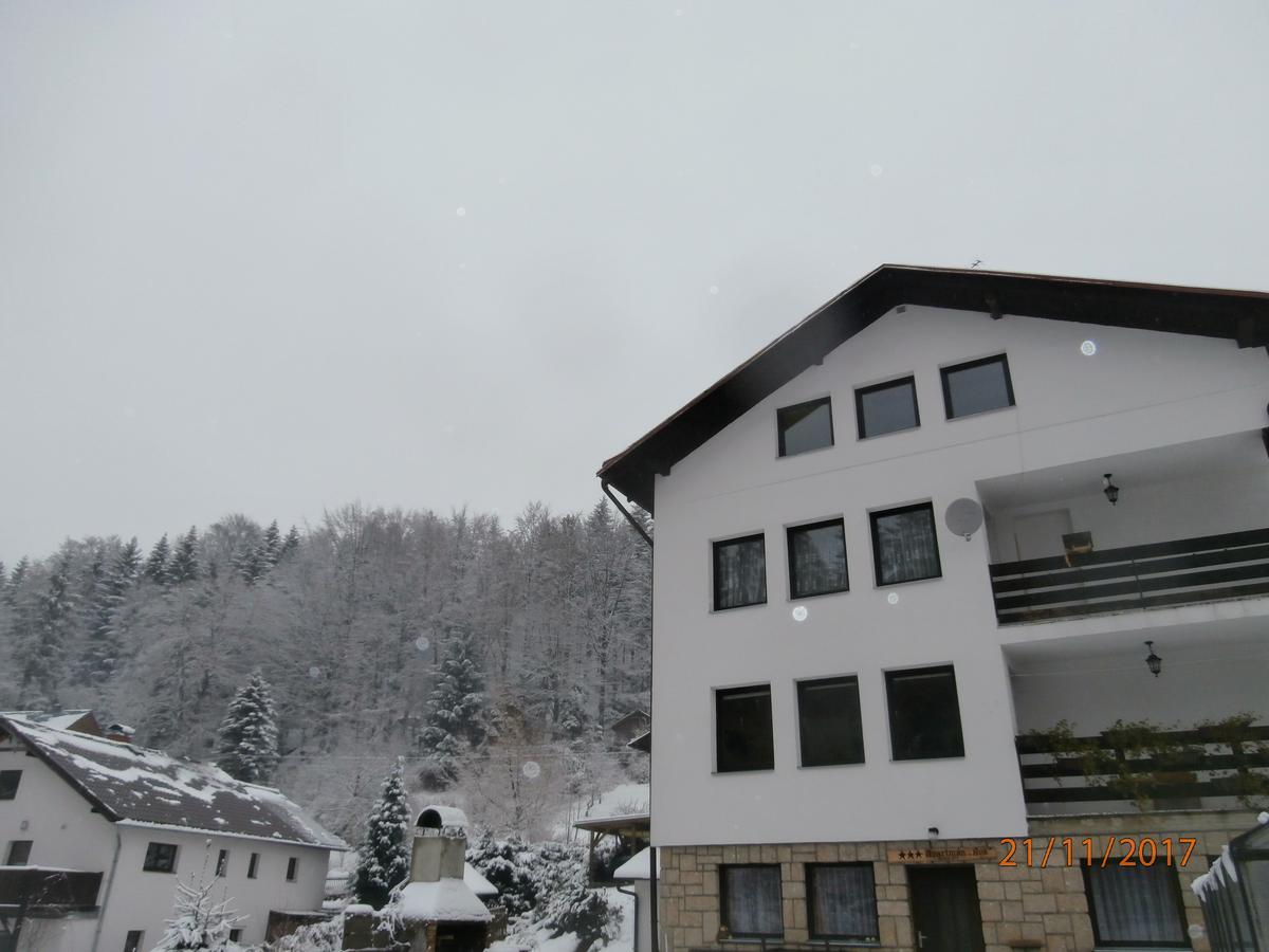 Apartman Aya Janov nad Nisou Buitenkant foto