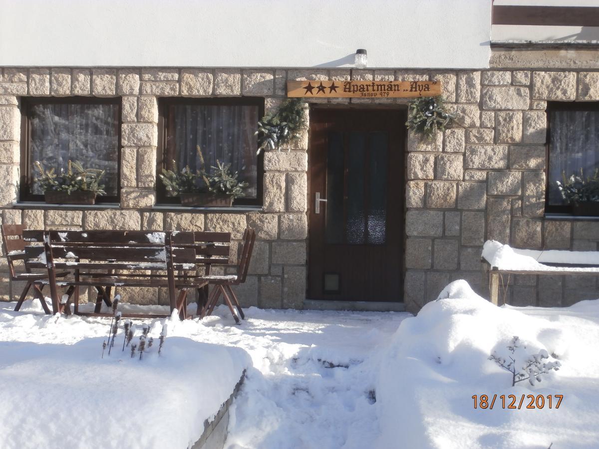 Apartman Aya Janov nad Nisou Buitenkant foto