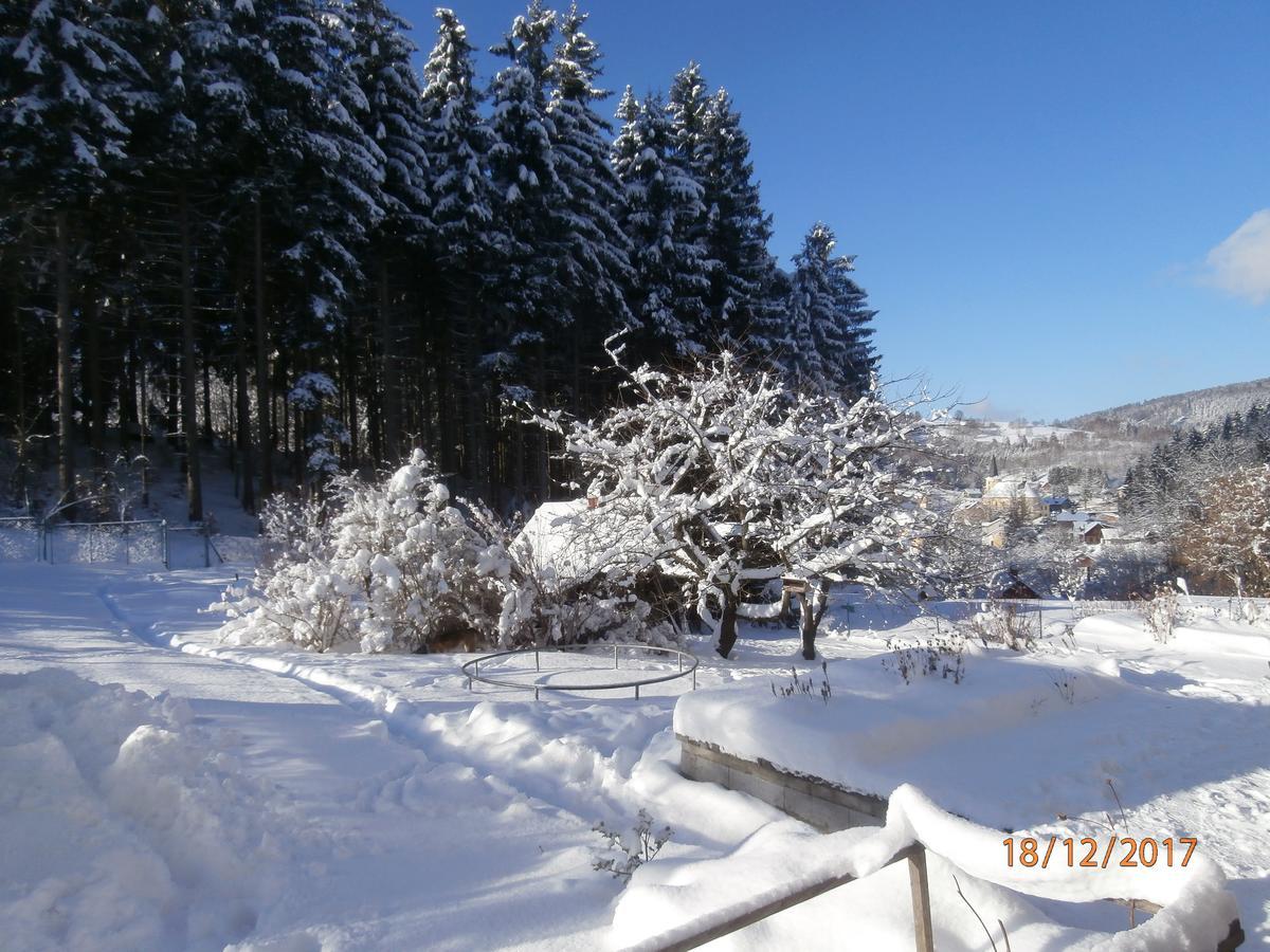 Apartman Aya Janov nad Nisou Buitenkant foto